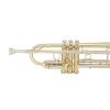 Bb Trumpet Miraphone M3050 Yellow Brass laquered