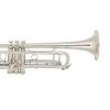 Bb Trumpet Miraphone M3050 Yellow Brass silver plated
