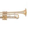 Bb Trumpet Miraphone M3050 Gold Brass laquered