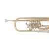 Bb Trompete Miraphone 11 Gold Brass laquered