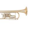 Bb Trumpet Miraphone 11 Gold Brass laquered