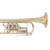 Bb Trumpet Miraphone 11 1100A 120 Gold Brass laquered