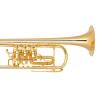 Bb Trumpet Miraphone 11 Gold Brass Gold plated