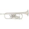 Bb Trumpet Miraphone 11 Gold Brass Silver plated