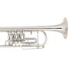 Bb Trumpet with 3 rotary valves Miraphone 9R Yellow Brass silver plated