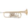 Bb Trumpet with 3 rotary valves Miraphone 9R Gold Brass laquered