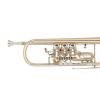 Bb Trumpet Miraphone 9R 1100A110 Golg brass
