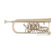 Bb Труба Miraphone 9R 1100A120 Golg brass