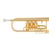 Bb ]Trumpet Miraphone 9R 1101A Gold Brass Gold plated 