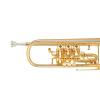 Bb Trumpet Miraphone 9R 1101A 120 Gold Brass Gold plated 