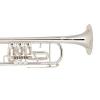 Bb Trumpet Miraphone 9R 1102A Gold Brass Silver plated
