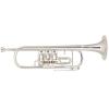 Bb Trumpet Miraphone 9R 1102A Gold Brass Silver plated