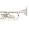 Bb Trumpet Miraphone 9R 1102A 100 Gold Brass Silver plated 