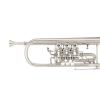 Bb Trumpet Miraphone 9R 1102A 120 Gold Brass Silver plated