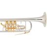 Bb Trompete Miraphone 9R 1102AP 10 Gold Brass Silver-Gold plated