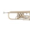 Bb Trumpet Miraphone 9R1 heavy Gold Brass laquered