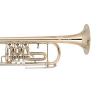 Bb Trumpet Miraphone 9R1 heavy Gold Brass laquered