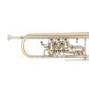 Bb Trumpet Miraphone 9R1 1100A 120 heavy Gold Brass laquered