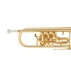 Bb Trumpet Miraphone 9R1 heavy Gold Brass Gold plated