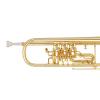 Bb Труба Miraphone 9R1 1101A 120 heavy Gold Brass Gold plated