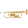 Bb Trumpet Miraphone 9R1 1101A 120 heavy Gold Brass Gold plated