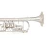 Bb Труба Miraphone 9R1 1102A 120 heavy Gold Brass Silver plated