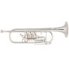 Bb Trompete Miraphone 9R1 1102A 120 heavy Gold Brass Silver plated