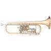 Bb Trumpet Custom J. Scherzer 8218-S "Cologne" Gold Plated