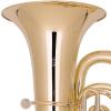 BBb Tuba Miraphone 495A "Hagen-495" gold brass