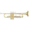 Bb Trumpet B&S Challenger 3143/2-L (one-piece Bell)