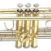 Bb Trumpet B&S Challenger 3125/2-L (one-piece Bell, Large-bore)