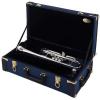 C Trumpet B&S Challenger 3136JH-S (heavy bell, JH-leadpipe, silver plated)