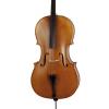 Cello Paesold PA603E-BG (Giovanni Battista Guadagnini)