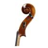 Cello Paesold PA603E-DM (Domenico Montagnana)