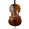 Cello Paesold PA603E-DM (Domenico Montagnana)