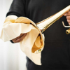 Edgware Care Cloth Baumwolltuch zur Pflege von Musikinstrumenten