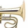 Flugelhorn Antoine Courtois AC156R-1-0 Professional Laquer Rose brass Bell