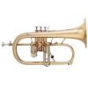Флюгельгорн Antoine Courtois AC155R Professional Laquer Rose brass Bell