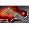 Framus Guitar AK 1974 S Cherry Sunburst Transparent High Polish