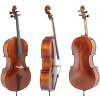 GEWA Allegro Cello 4/4