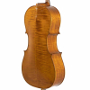 GEWA Georg Walther Cello  4/4