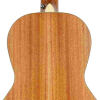 Kremona M16 Parlor Akustikgitarre, Massive Decke