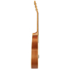 Kremona M16 Parlor Akustikgitarre, Massive Decke