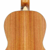 Kremona M16E Parlor Akustikgitarre, Massive Decke