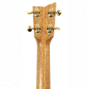Kremona Mari Concert Ukulele | mit Tonabnehmer | Vollmassiv