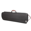 Maurizio Riboni ZEROOTTO Tipo 1 Black [ru]Футляр для скрипки[/ru][en]Violin Case[/en][de]Violine Koffer[/de]