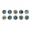 Mother of Pearl Eyes Paua, Coloured, 10-Pce Set