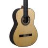 Pavel Gavryushov Master Guitar, spruse / Madagascar rosewood