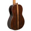 Pavel Gavryushov Master Guitar, spruse / Madagascar rosewood