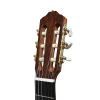 Pavel Gavryushov Master Guitar, spruse / Madagascar rosewood